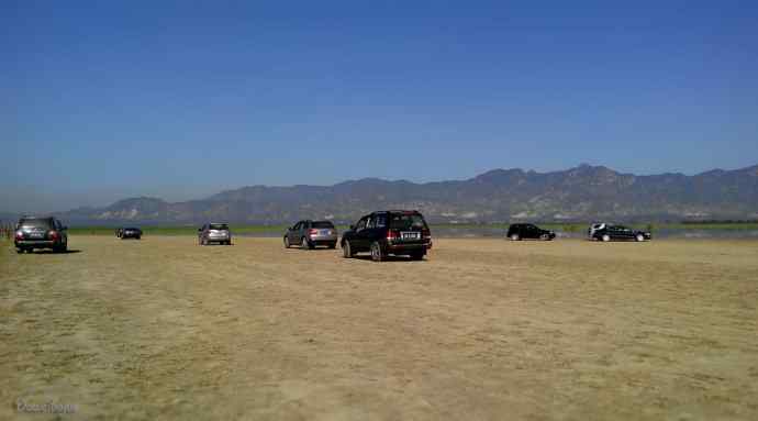 野鸭湖.生境白鹭