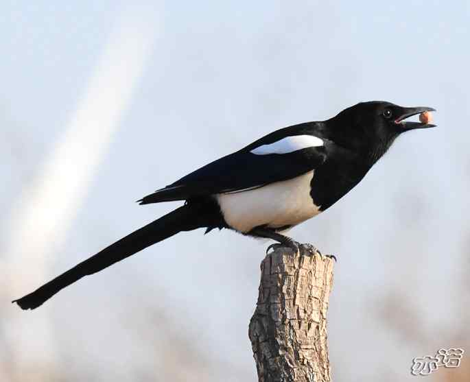官厅水库&nbsp;wbr路&nbsp;wbr鈥湹刂麾澫踩