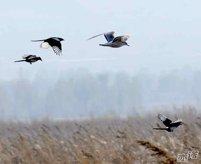 官厅水库&nbsp;wbr路&nbsp;wbr鈥湹刂麾澫踩