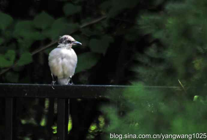 它是鈥湷の财骛题澛穑浚锹及妫