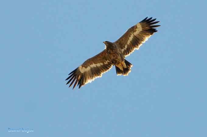 穿越大风车的草原大猛 穿越大风车的草原大猛