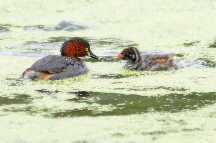 鈥溌杪栉乙...鈥