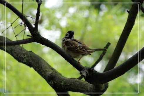 我的大生活之鈥溕隳衿濃2