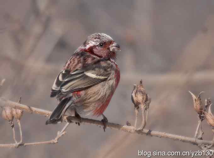 进步版鈥湷の踩糕潱ㄗ橥迹8张图片）