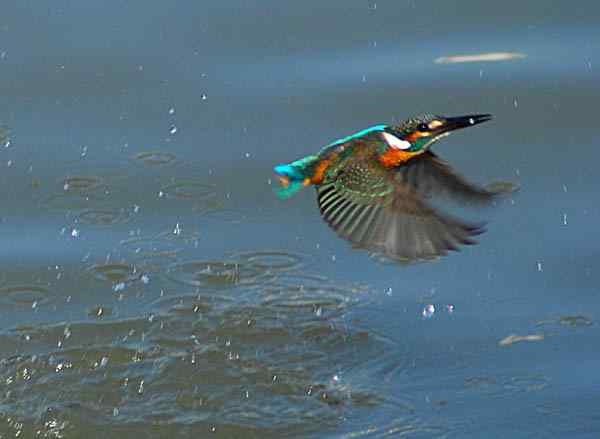 珠海独行（四）,三上野狸岛（小翠篇）(组图）