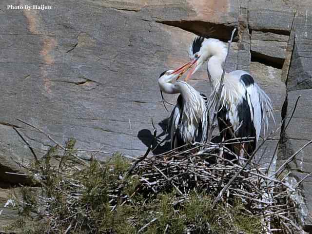 游走山水 猎摄河湾