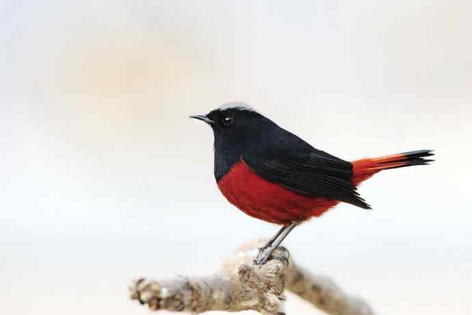 蹊跷鈥斺敯锥ハ洞骰颐倍