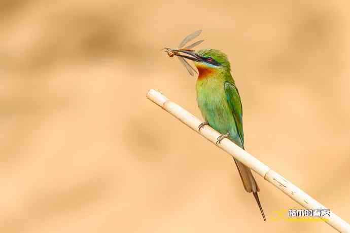 失而复得的鈥溊鹾矸浠⑩