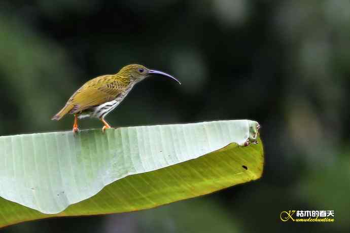记录鈥溛票巢吨肽疋 记录鈥溛票巢吨肽疋