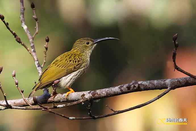 记录鈥溛票巢吨肽疋 记录鈥溛票巢吨肽疋