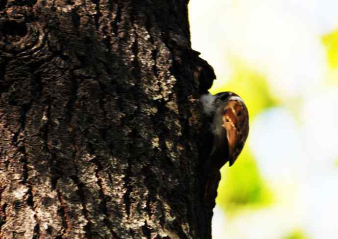 准备过冬（记实）