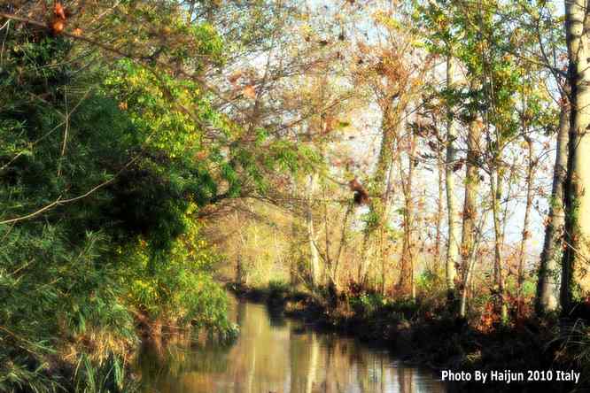 【亚平宁半岛之旅 wbr. wbr鸟鸟猎摄】