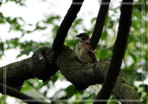 我的大生活之鈥溕隳衿濃2