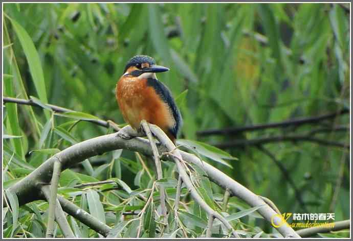 鈥溞〈溻澒槔础菊掌