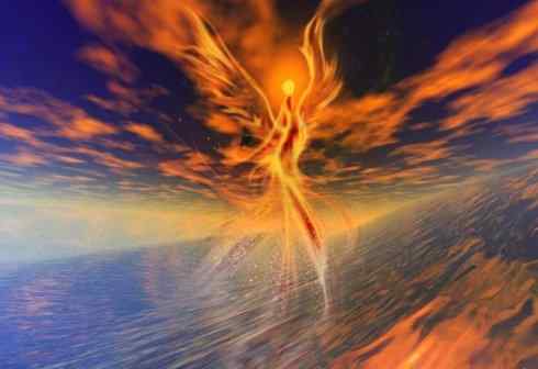 凤凰：传说的鸟