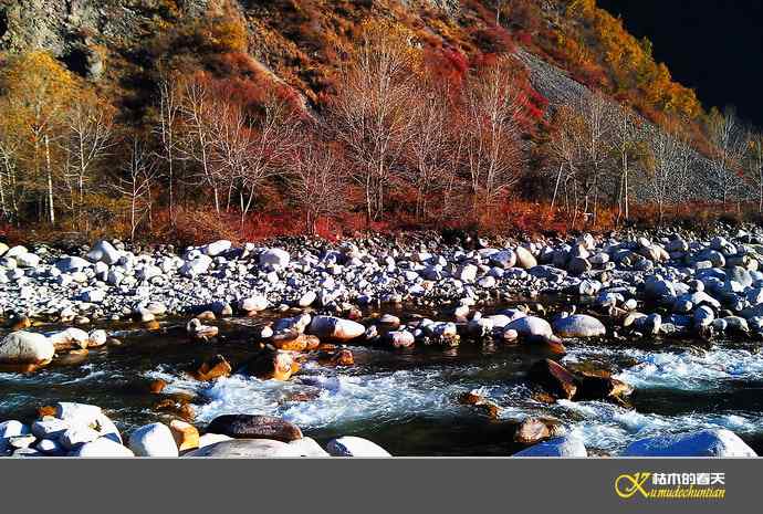 寻梦鈥溠趴讼拟潯臼蹬摹