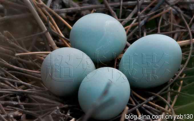 聆听超萌鈥溞∫光澢ㄗ橥迹24张图片）