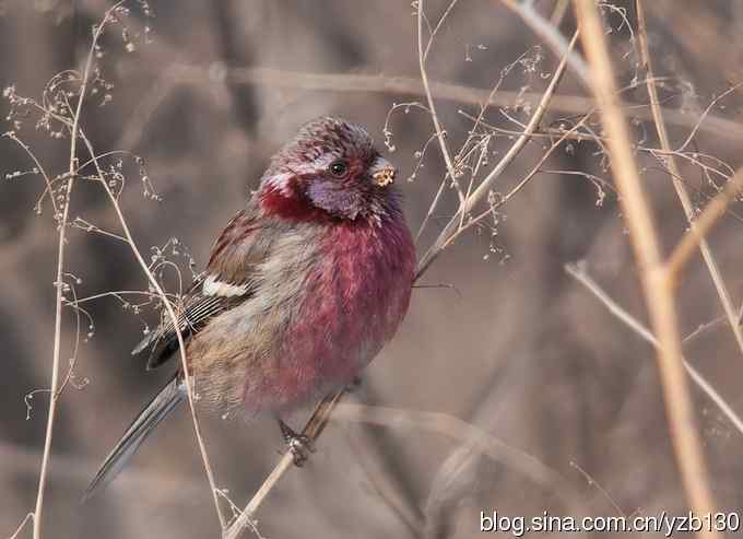 进步版鈥湷の踩糕潱ㄗ橥迹8张图片）
