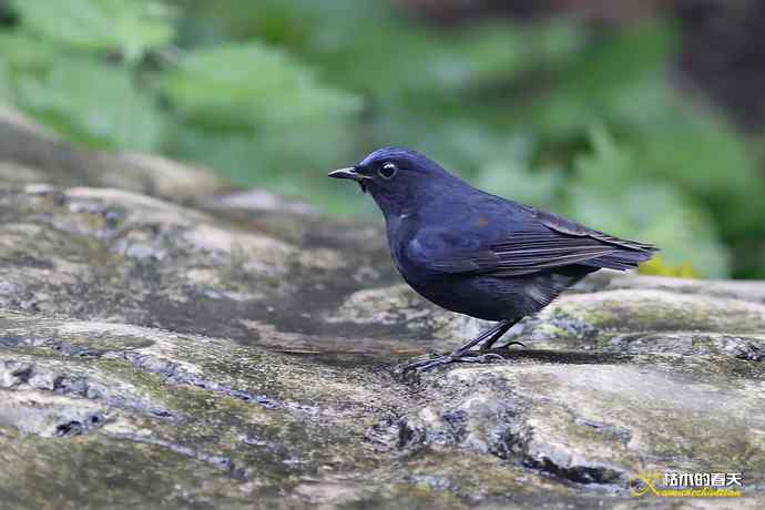 记录鈥湴孜怖兜仞垛