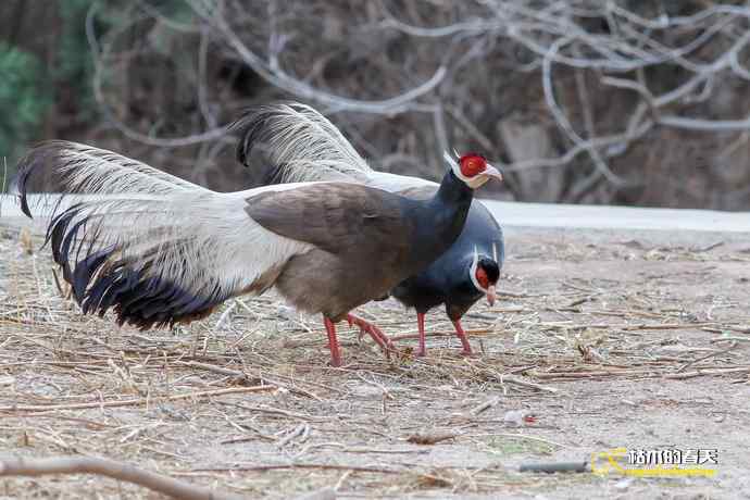 玄中古寺拍鈥満致恚Γ┾