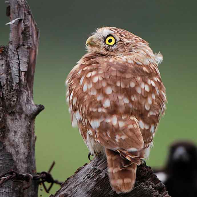 不期而遇鈥斺斪菸聘剐←^