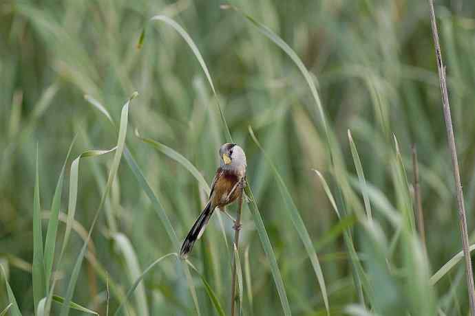 震旦鈥斺斁灾泄