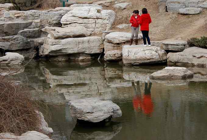 三只小鸟 wbr满园春色