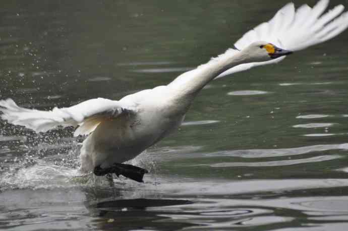 20100505当日总结